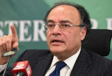 minister for finance and revenue senator muhammad aurangzeb photo app