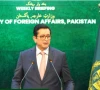 foreign office spokesperson sajjad haider khan photo screengrab