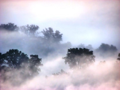 driving in fog 17 injured in pile up on motorway