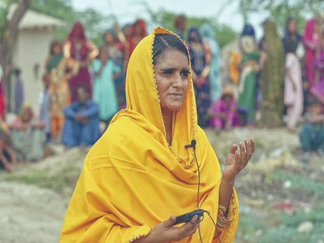 sham bai photo file