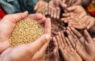 adopting modern tech to strengthen food security adopting modern tech to strengthen food security