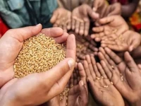 food prices stay above official rates