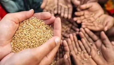 adopting modern tech to strengthen food security adopting modern tech to strengthen food security