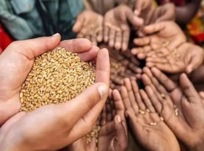 adopting modern tech to strengthen food security adopting modern tech to strengthen food security