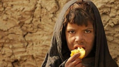 hunger knows no friend but its feeder hunger knows no friend but its feeder