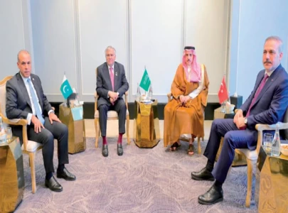 r 4 ministers reaffirm support for palestine