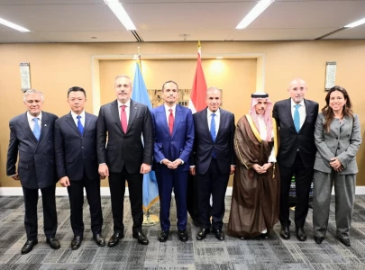 pakistan seven other muslim countries demand israel to fulfil gaza ceasefire commitments