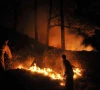 forest fire season ends with fewer incidents forest fire season ends with fewer incidents