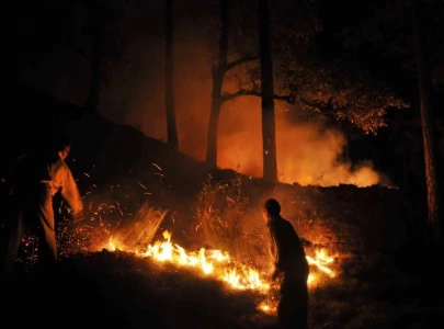 canada prisoners relocated as hundreds flee wildfires