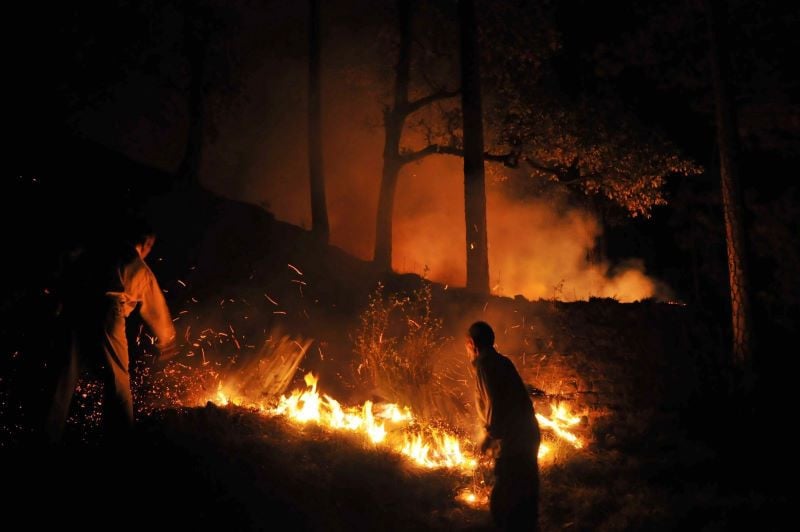 incidences of forest fires in india is increasing photo peninsula
