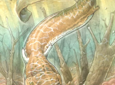 ancient swamp thing fossil with menacing fangs unearthed in namibia ancient swamp thing fossil with menacing fangs unearthed in namibia