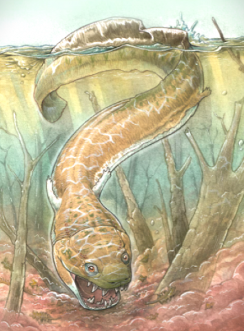 ancient swamp thing fossil with menacing fangs unearthed in namibia
