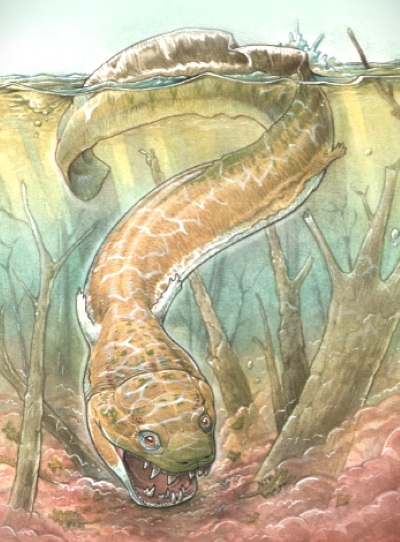 an artist s rendering of the permian period salamander like creature gaiasia jennyae whose fossils were found in namibia is seen in this handout image obtained by reuters on july 3 2024 photo reuters