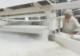 curbs on sugar supply to spark shortage curbs on sugar supply to spark shortage