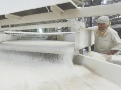 curbs on sugar supply to spark shortage curbs on sugar supply to spark shortage