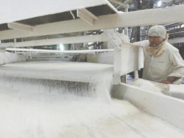sugar market sugar market