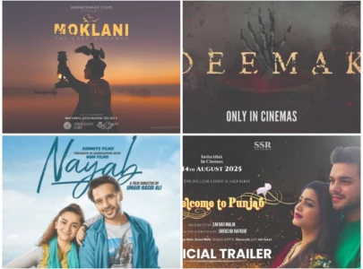 four pakistani films that won global acclaim in 2025