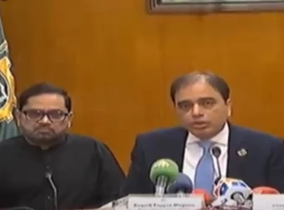 lifeline of economy fpcci criticises negative remarks against pakistan s gsp status