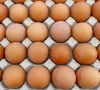 france sets record for egg demand