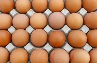france appetite for eggs hits record highs in 2025 photo reuters