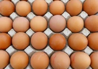 france appetite for eggs hits record highs in 2025 photo reuters
