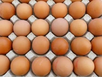 france appetite for eggs hits record highs in 2025 photo reuters