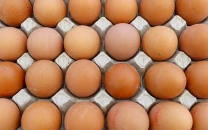 france sets record for egg demand