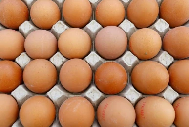 france appetite for eggs hits record highs in 2025 photo reuters