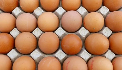 france appetite for eggs hits record highs in 2025 photo reuters