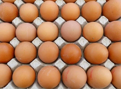 france sets record for egg demand