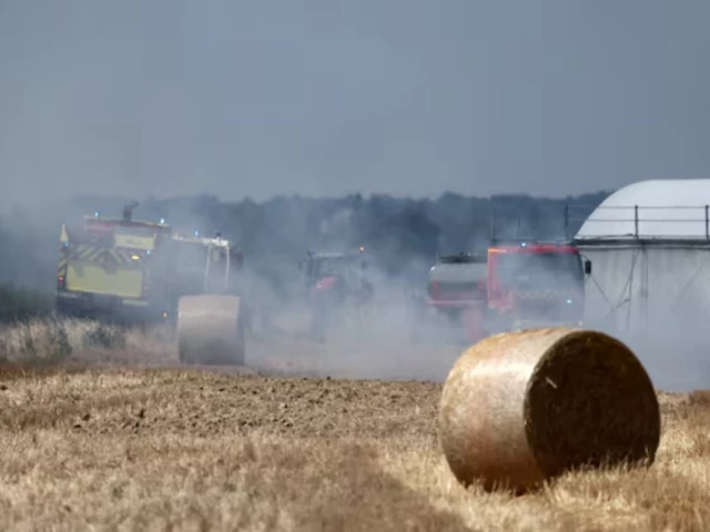 France gives farmers €1billion to recover from record heatwaves