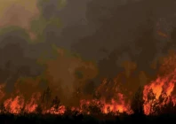 natural disaster this photograph shows a burning forest during a wildfire near the town of lege cap ferret in southwestern france photo afp