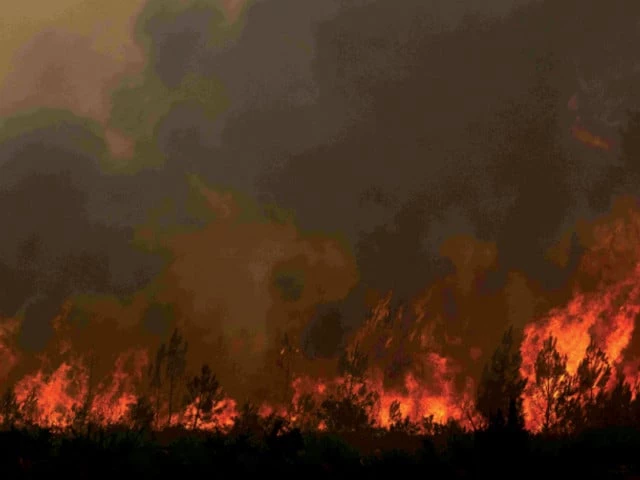 natural disaster this photograph shows a burning forest during a wildfire near the town of lege cap ferret in southwestern france photo afp natural disaster this photograph shows a burning forest during a wildfire near the town of lege cap ferret in southwestern france photo afp