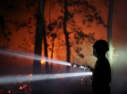 over 100 wildfires prompt algeria to urgently recall civil protection personnel