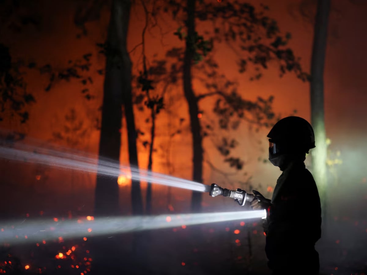 A firefighter sprays water to extinguish flames in the Fontainebleau forest during a wildfire, in Le Vaudoue, during a heatwave affecting large parts of France, July 13, 2026. Photo: REUTERS/file