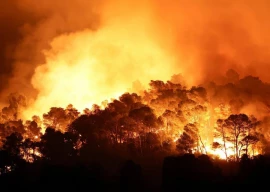 france battles largest wildfire since 1949 as blaze continues despite losing intensity france battles largest wildfire since 1949 as blaze continues despite losing intensity