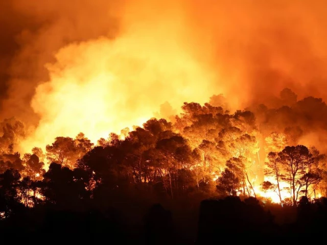 trees burn during a wildfire near in saint laurent de la cabrerisse southern france photo reuters