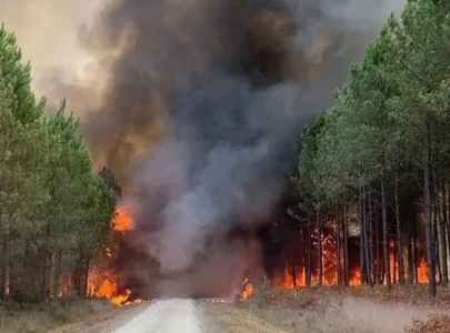 nearly 40 000 hectares burned in france since start of 2026 interior minister nearly 40 000 hectares burned in france since start of 2026 interior minister