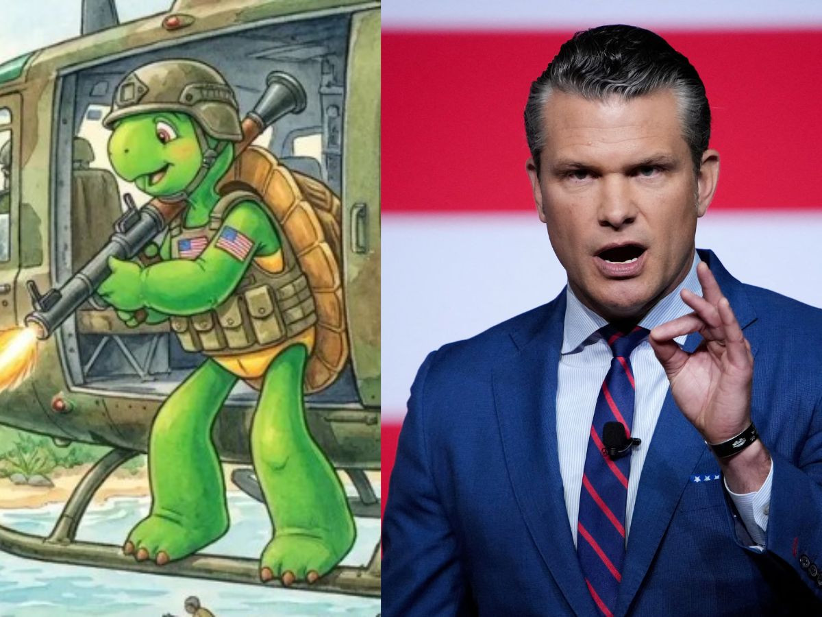 Franklin the Turtle publisher criticizes Pete Hegseth for sharing violent  mock book cover