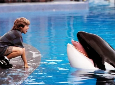 free willy returns as warner bros revives beloved family classic with russo brothers producing