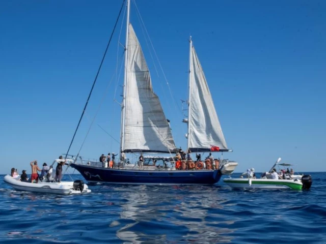 the boat carrying greta thunberg is near to gaza shores photo freedomflotilla website the boat carrying greta thunberg is near to gaza shores photo freedomflotilla website