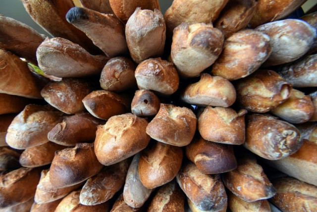 french baguet photo afp french baguet photo afp