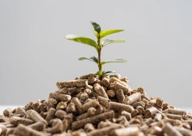 biofuels black gold from golden straw biofuels black gold from golden straw