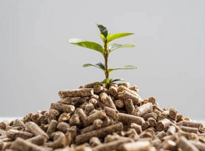 biofuels black gold from golden straw