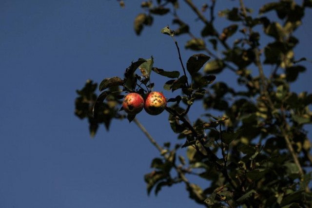 photo reuters photo reuters
