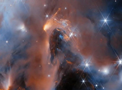 webb telescope uncovers six rogue worlds providing new clues on how stars are born