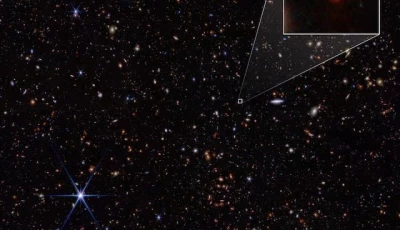 an infrared image from nasa s james webb space telescope taken by the nircam near infrared camera for the jwst advanced deep extragalactic survey or jades program one such galaxy jades gs z14 0 shown in the pullout was determined to have formed about 290 million years after the big bang making it the earliest known galaxy photo reuters