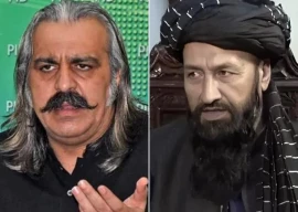 gandapur defends afghan diplomat amid national anthem dispute