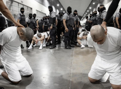 us flies alleged gang members to el salvador despite court block us flies alleged gang members to el salvador despite court block