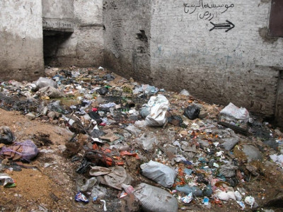vector borne diseases continue to plague the city vector borne diseases continue to plague the city